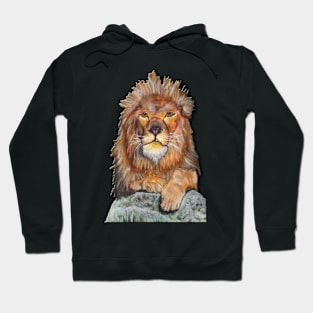 Lion Hoodie